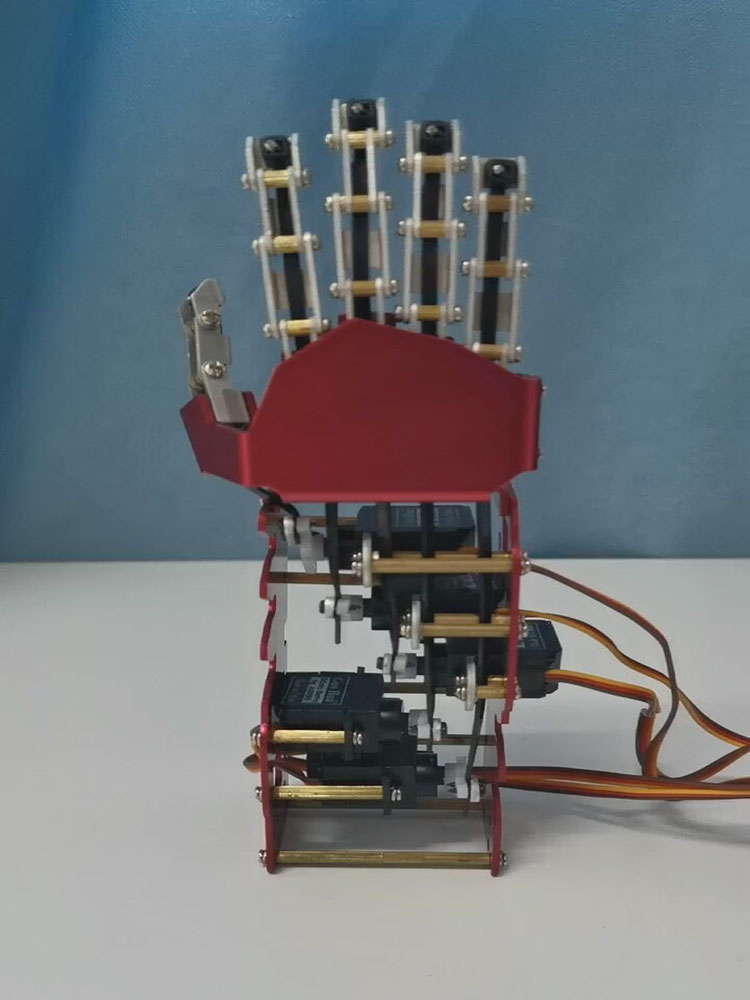 5 DOF Robotic Hand Humanoid Fi - Robot Arm 5 Dof Servo review and price